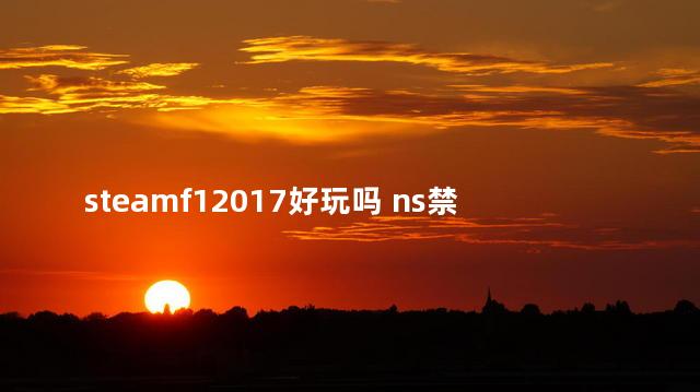 steamf12017好玩吗 ns禁售游戏有哪些